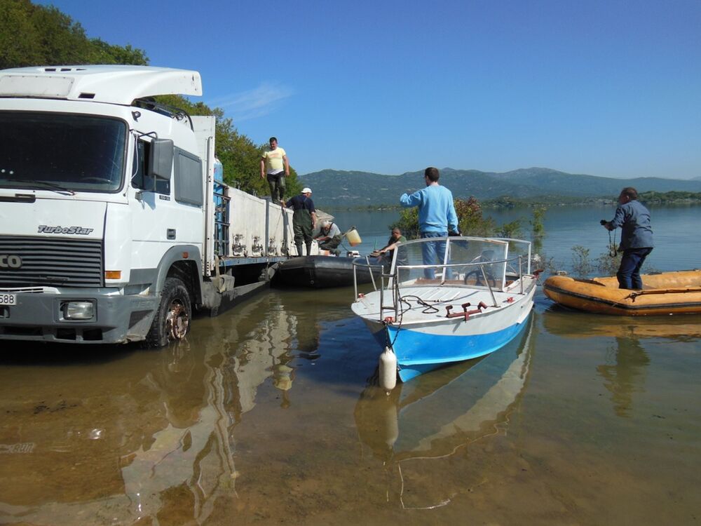 Slano jezero poribljavanje