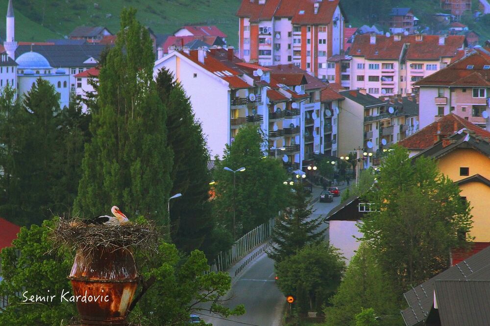 Rožajske rode, Foto: Samir Kardović