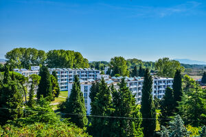 Medicinari u Ulcinju