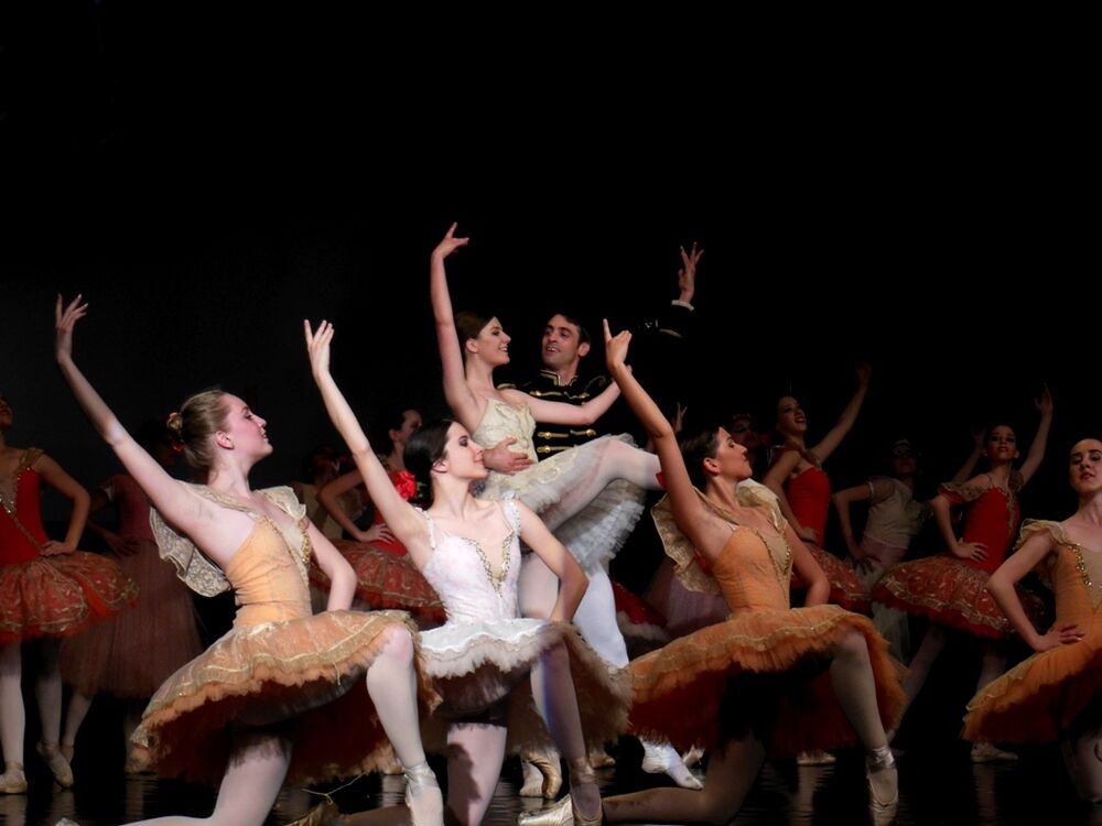 Balerine, Baletske škole "Princeza Ksenija"