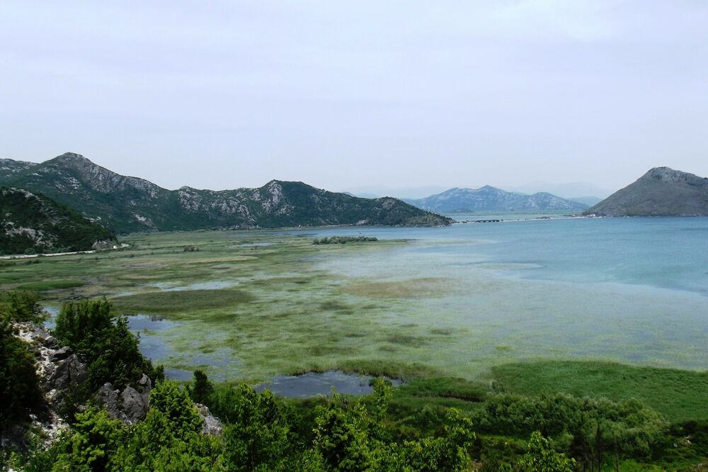 Skadarsko jezero, Foto: Jasna Gajević
