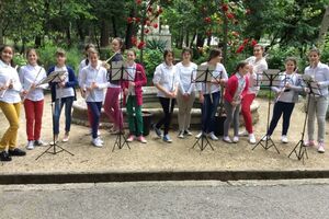 Tivat: Aukcijska prodaja sadnica za veliki gradski park