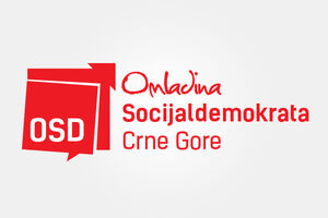 Omladina Socijaldemokrata: Dan mladosti , da ostane značajan datum...