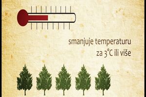 “Značaj šuma” na prestižnom festivalu