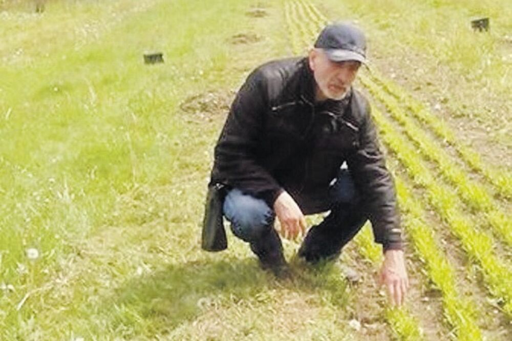 Mikan Medenica, Foto: Dragana Šćepanović