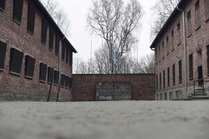 Njemačka traži šest godina zatvora za bivšeg čuvara Aušvica