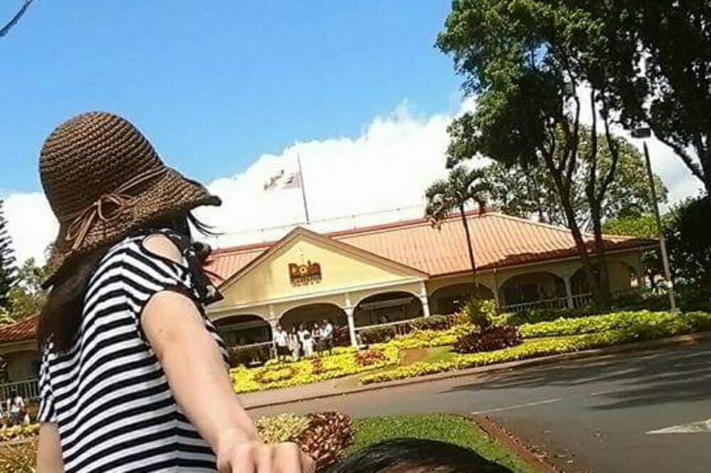 Prati me, parodija, Foto: Boredpanda.com