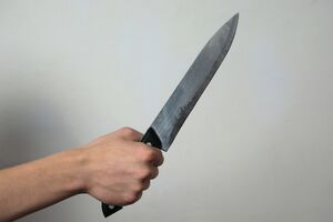 Mojkovac: Pokušaj ubistva nožem ispred škole