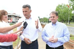 Podgorica: Zasađen novi drvored na Bulevaru Mihaila Lalića