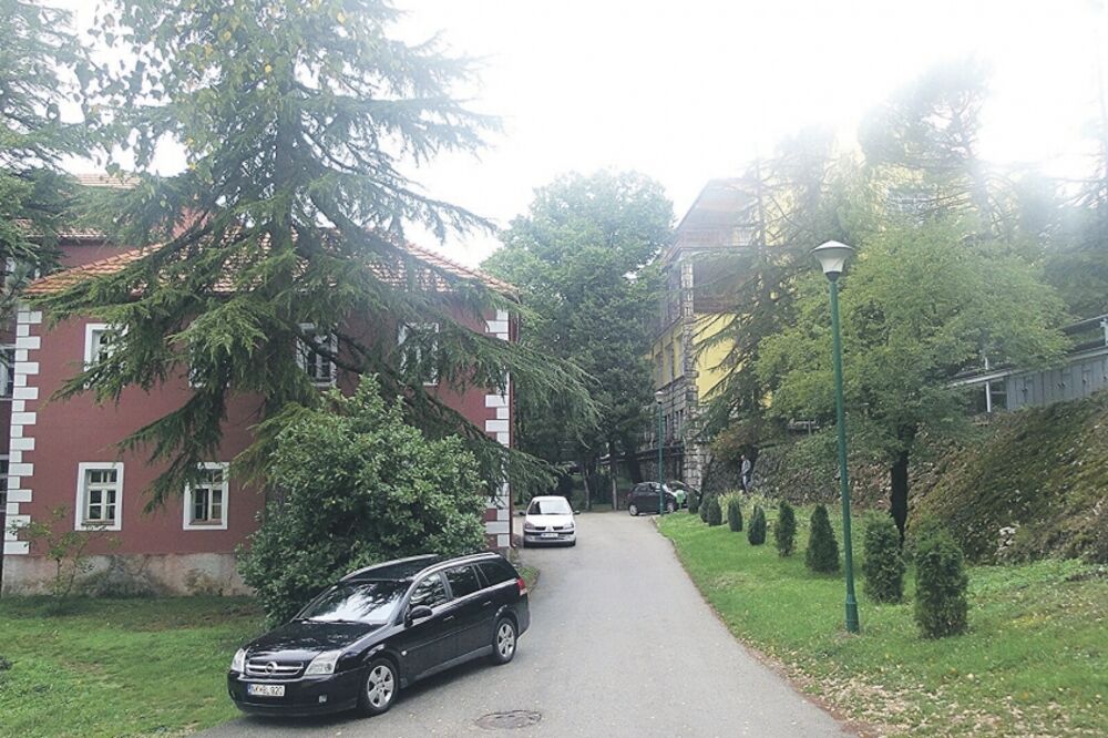 Brezovik, Foto: Ivan Petrušić