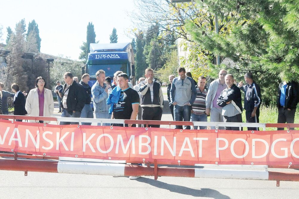 DKP, Foto: Luka Zeković