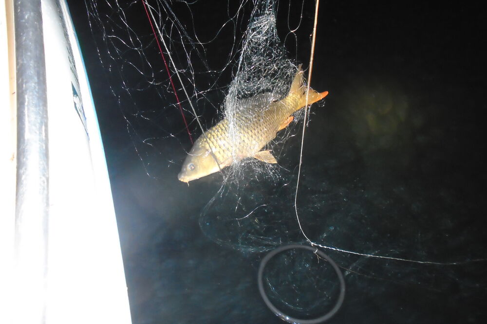 krivolov Skadarsko jezero, Foto: Nacionalni parkovi Crne Gore