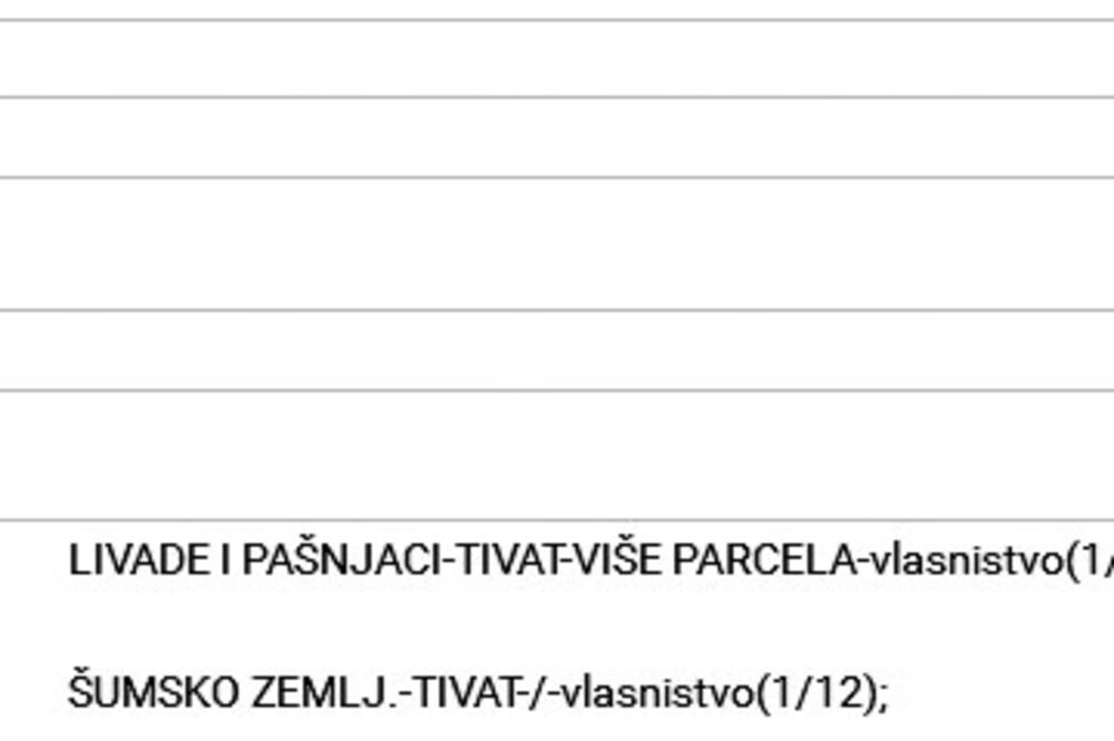 Marija Vučinović imovinski karton, Foto: Printscreen