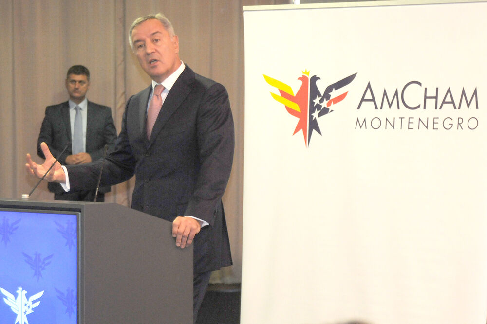 Milo Đukanović, Foto: Zoran Đurić