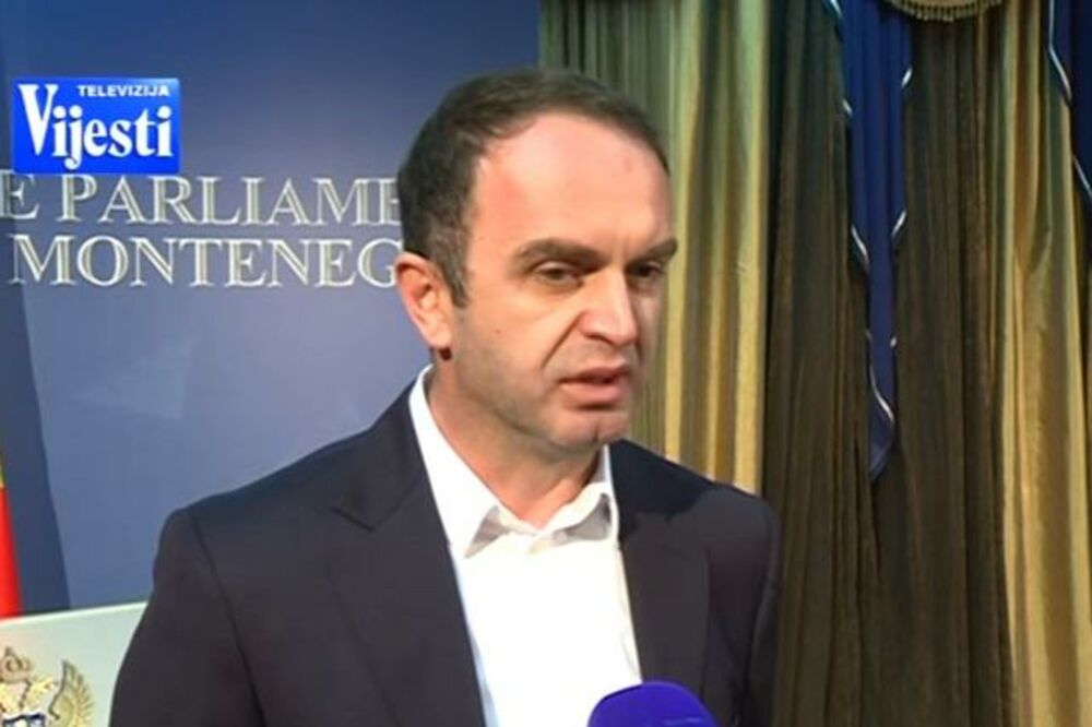 Nik Đeljošaj, Foto: Screenshot (TV Vijesti)