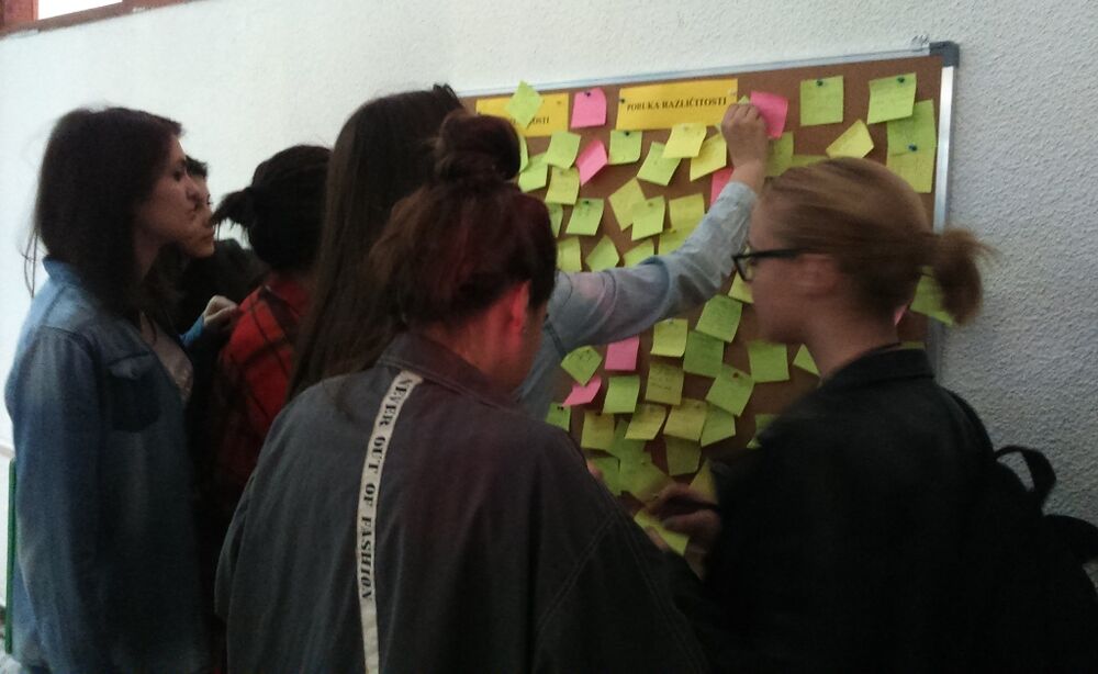 Gimnazija Stojan Cerović inkluzija