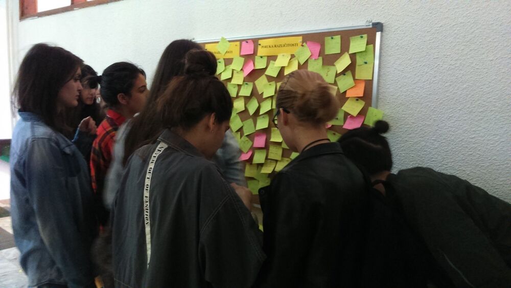 Gimnazija Stojan Cerović inkluzija