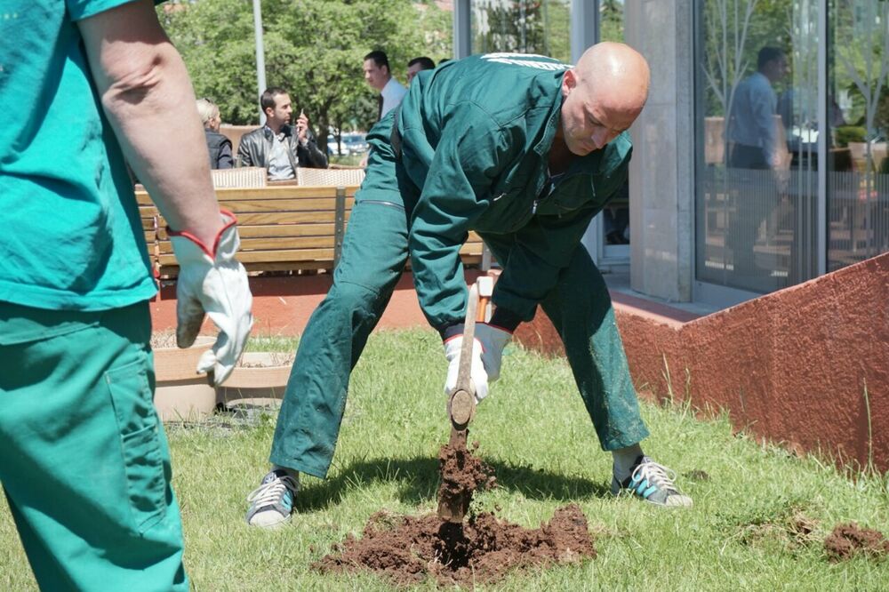 Petar Kapisoda - Dnevnica, Foto: Fabrika ideja