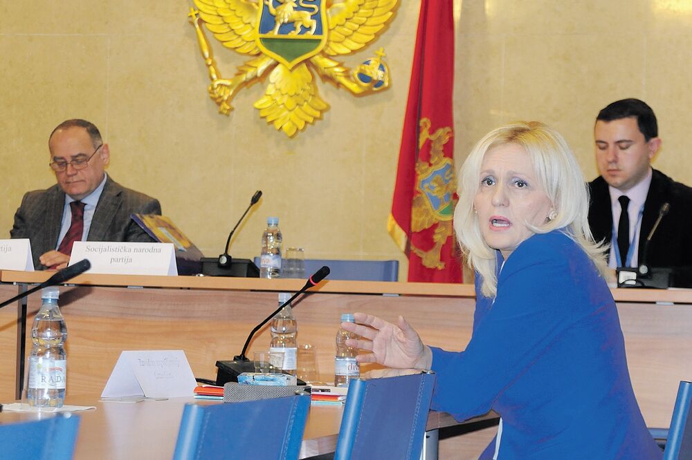 Radna grupa, Vukica Jelić, Foto: Luka Zeković