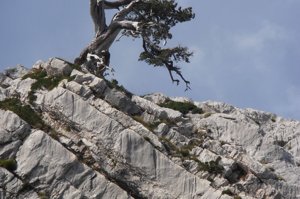 MINIKA, Foto: Slavica Kosić