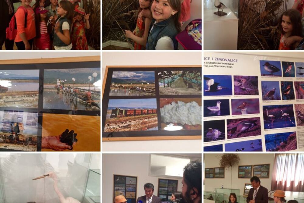 Pčelice TV Vijesti, Foto: TV Vijesti