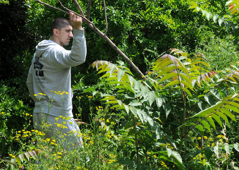 Ognjen Rakočević potraga