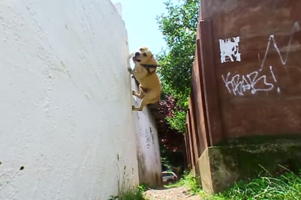 Tret, Foto: Screenshot (YouTube)