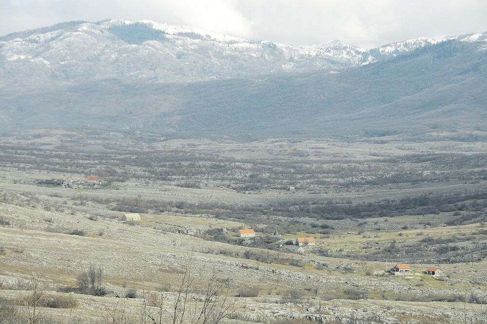 Crni kUk i Veljko Milović, Foto: Svetlana Mandić