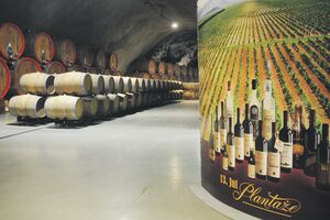 Gubitak Plantaža povećan 2,9 puta