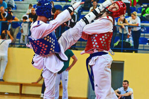 Nestorović oduševio