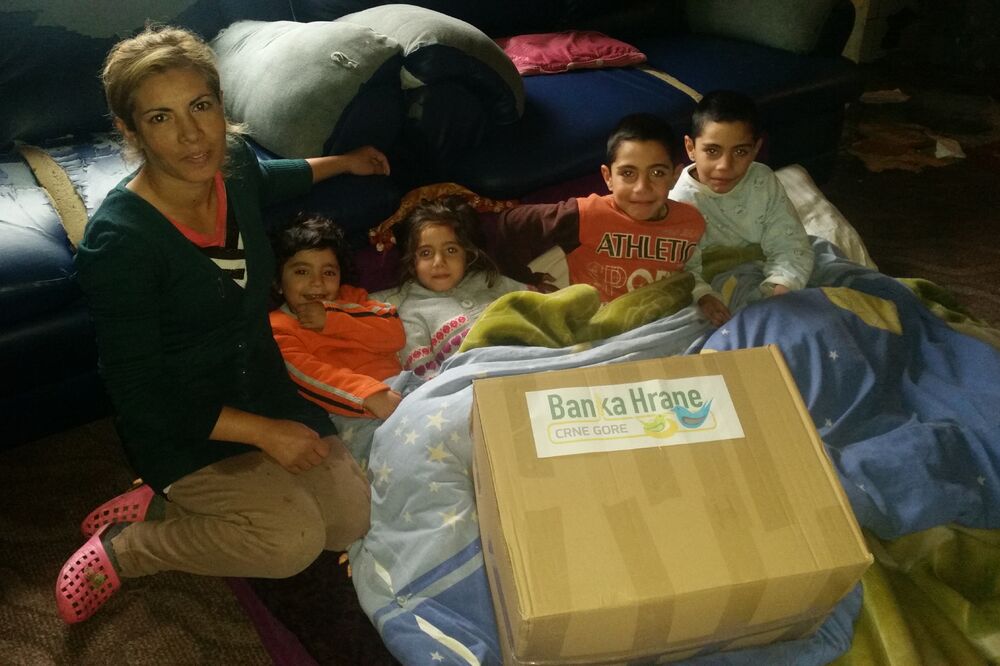 Mehrija Bajra, romska porodica, Konik, Foto: Banka hrane