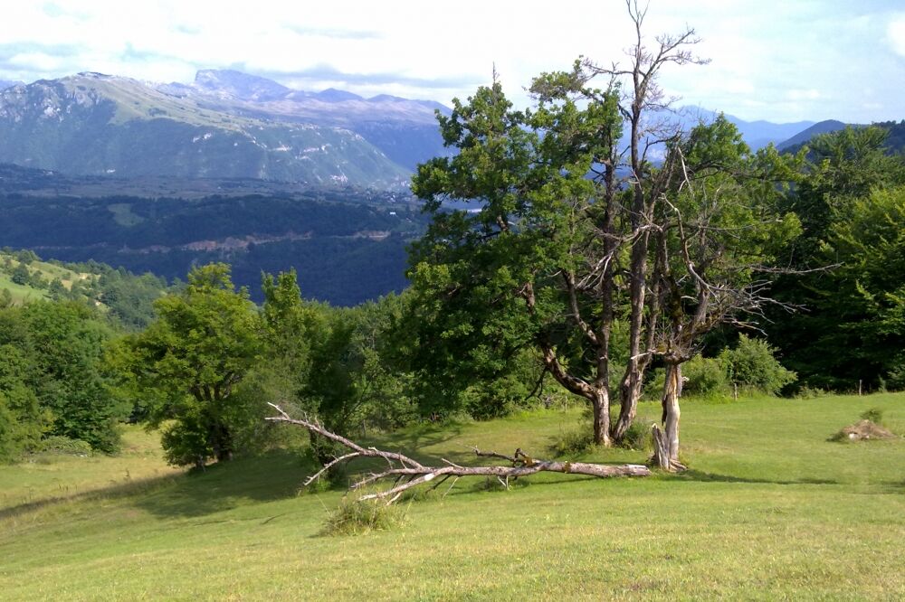 Piva, Foto: Dušan Cicmil