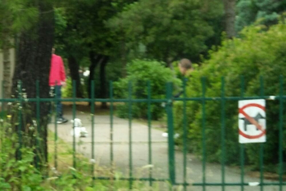 kućni ljubimac vrtić, Foto: Marko Radojičić