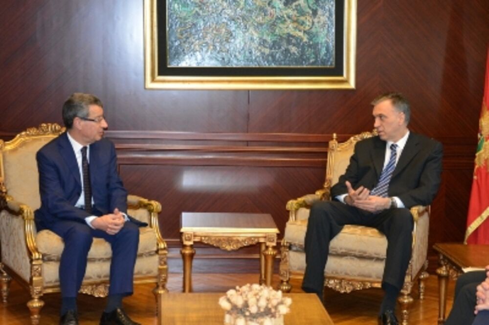 Filip Vujanović, senatori Italija, Foto: Predsjednik.me