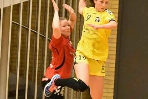 Iz Danske krči put ka selekciji Crne Gore