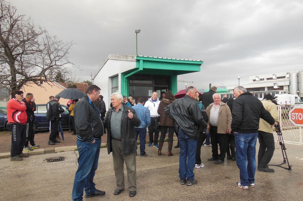 Mljekara Nika, Foto: Svetlana Mandić