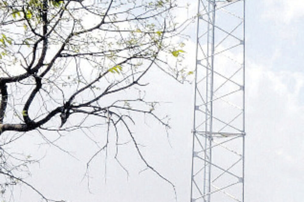 Struja, Foto: Zoran Đurić