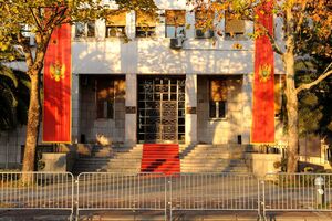 Leks specijalis dostavljen Skupštini