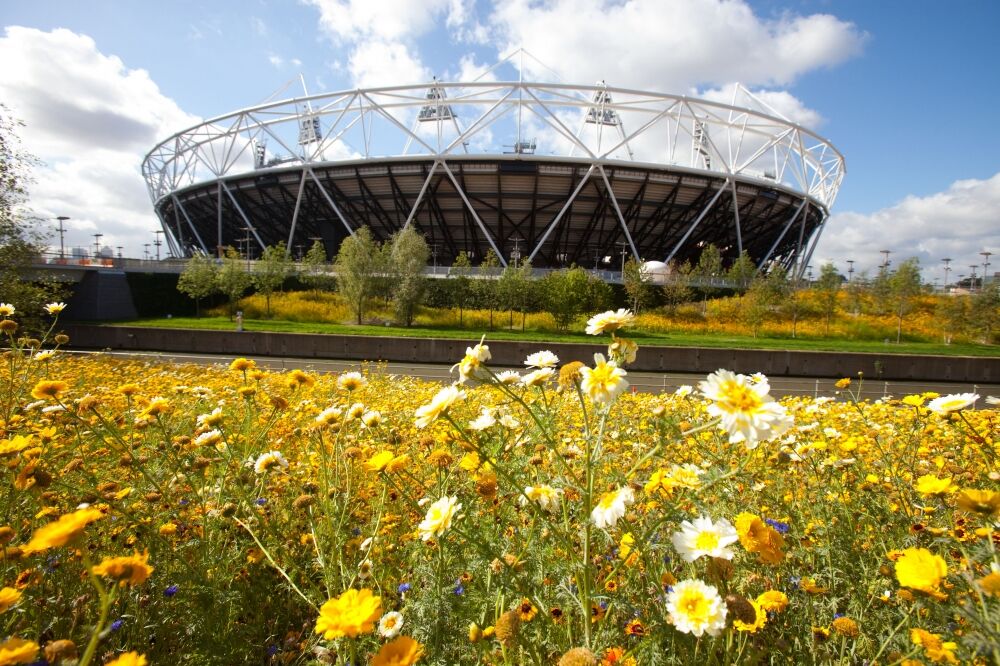 Olimpijski stadion, Foto: BETA/AP