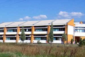 Humano djelo Momčila Božovića