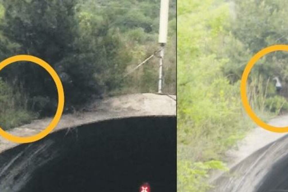 nema ima kamera Kotor, Foto: Jelena Jovanović