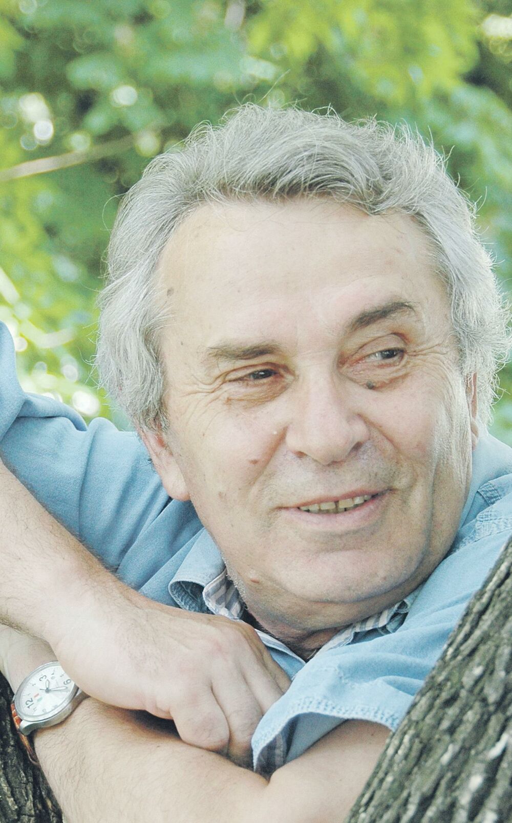 Milisav Savić (Novina)