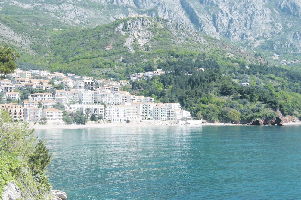 Crvena glavica, Foto: Vuk Lajović