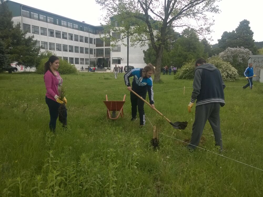 Filozofski fakultet sadnice