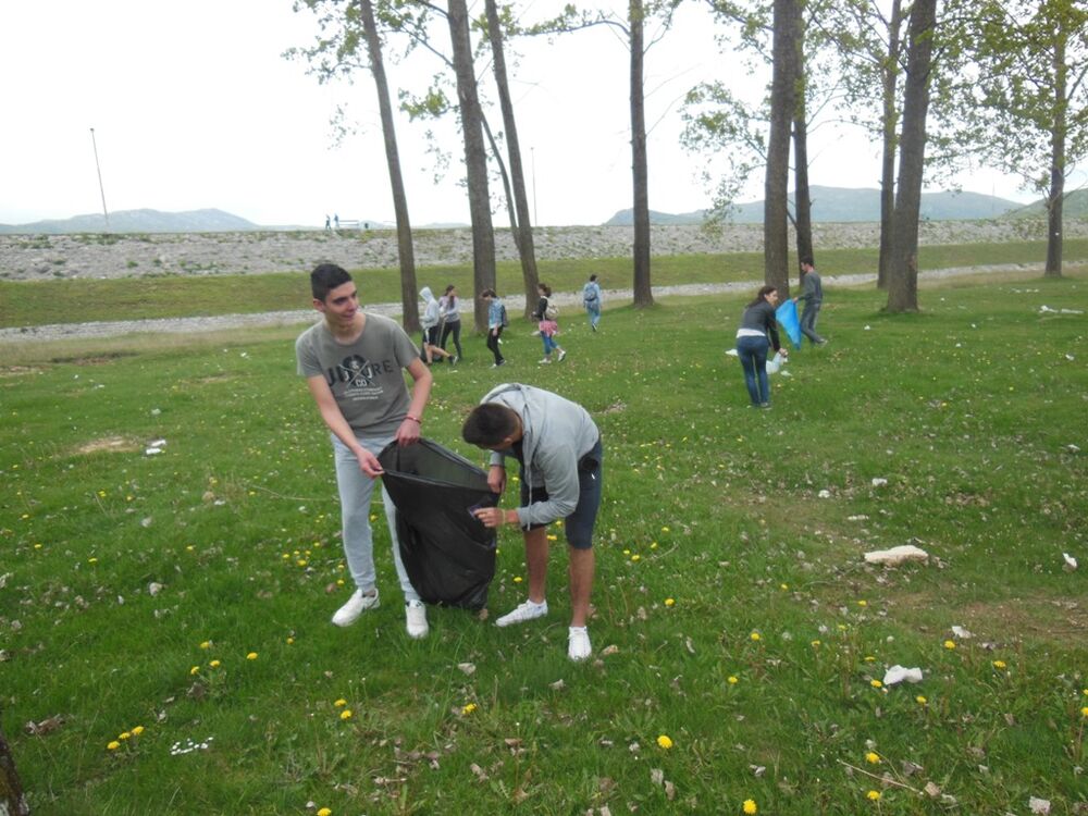 Krupac čišćenje, Ozon