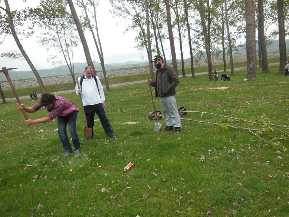 Krupac čišćenje, Ozon
