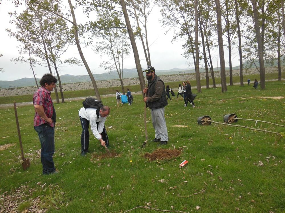 Krupac čišćenje, Ozon