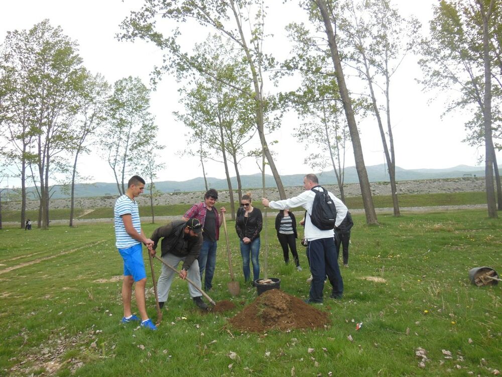 Krupac čišćenje, Ozon