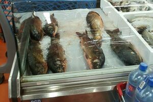 NP Skadarsko jezero: Ne kupujte ribu izlovljenu iz jezera, u toku...