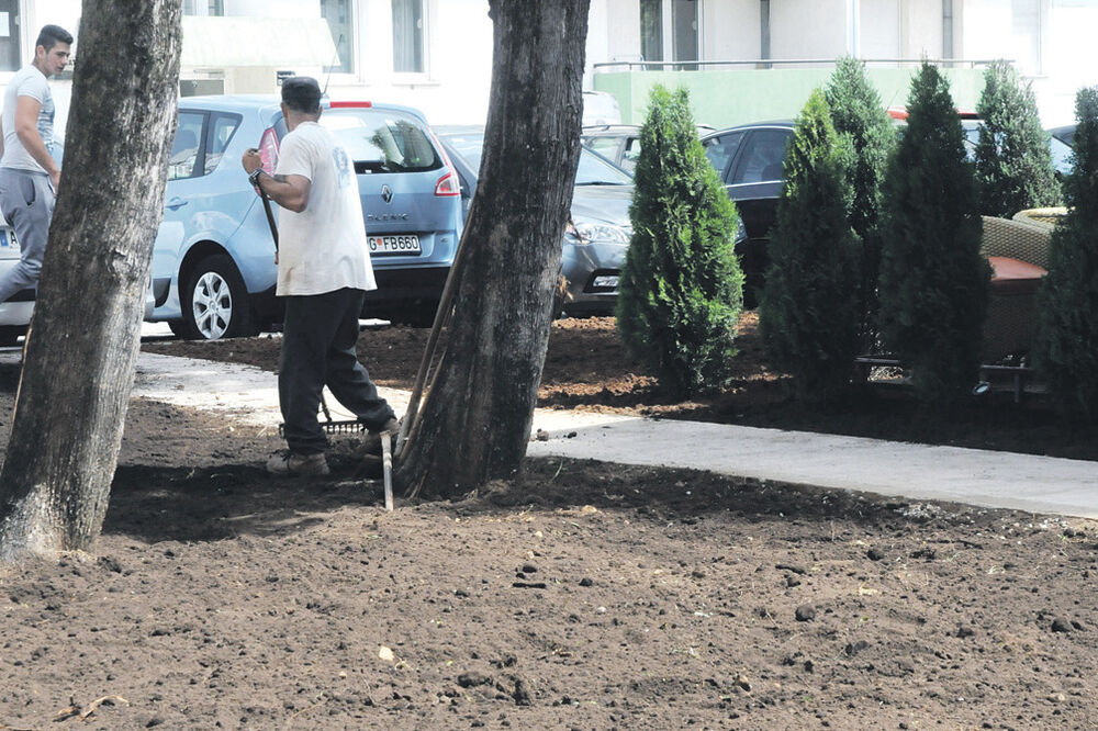 Ulica Vasa Raičkovića, Foto: Luka Zeković